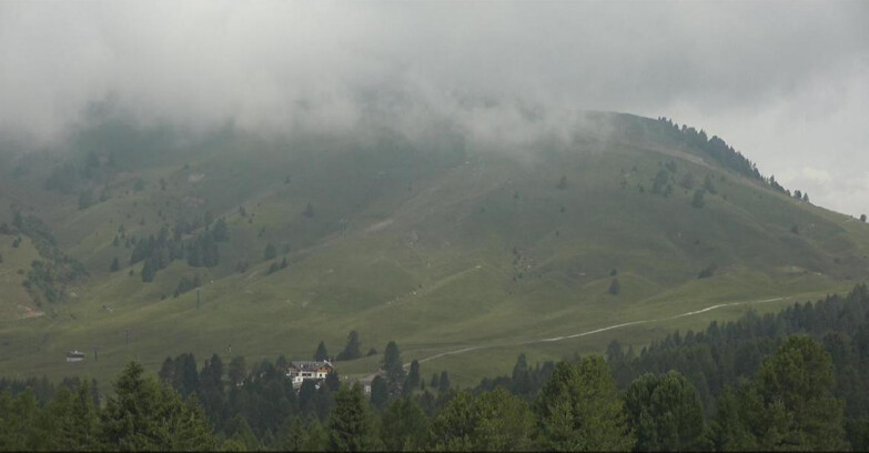 Webcam Bellamonte-Alpe Lusia  - Pista direttissima Le Cune