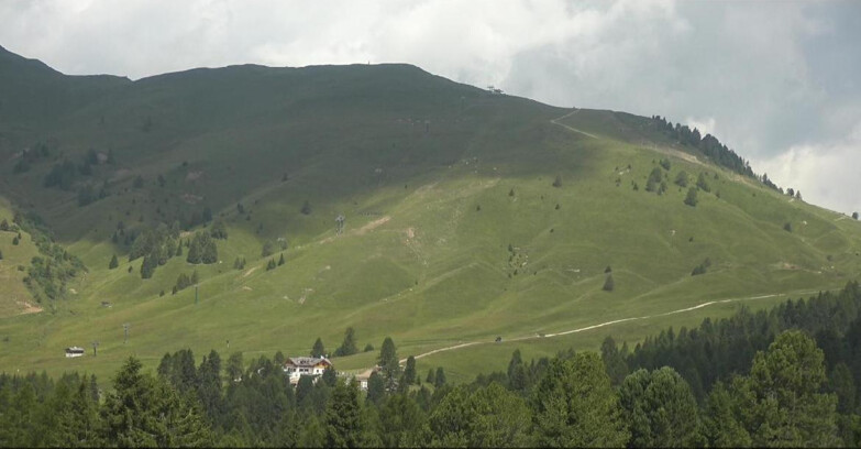 Webcam Bellamonte-Alpe Lusia  - Pista direttissima Le Cune