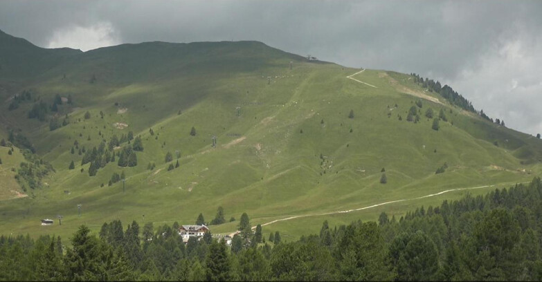 Webcam Bellamonte-Alpe Lusia  - Pista direttissima Le Cune