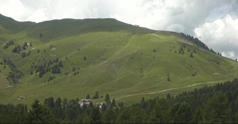 Webcam Bellamonte-Alpe Lusia  - Pista direttissima Le Cune