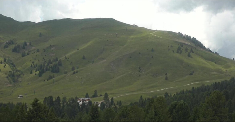 Webcam Bellamonte-Alpe Lusia  - Pista direttissima Le Cune