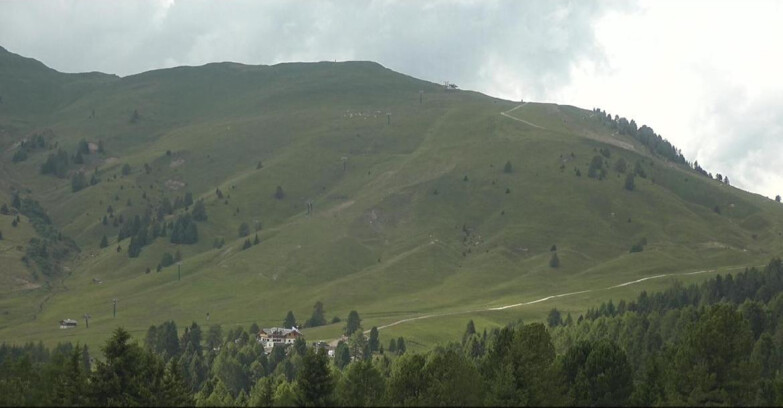 Webcam Bellamonte-Alpe Lusia  - Pista direttissima Le Cune