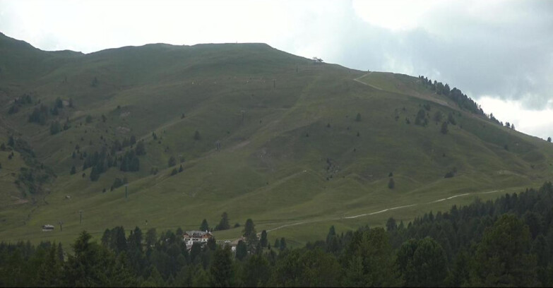 Webcam Bellamonte-Alpe Lusia  - Pista direttissima Le Cune