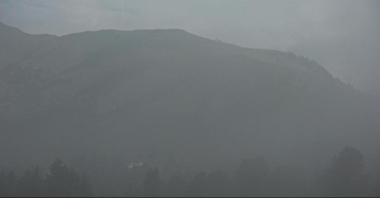 Webcam Bellamonte-Alpe Lusia  - Pista direttissima Le Cune