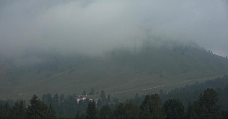 Webcam Bellamonte-Alpe Lusia  - Pista direttissima Le Cune