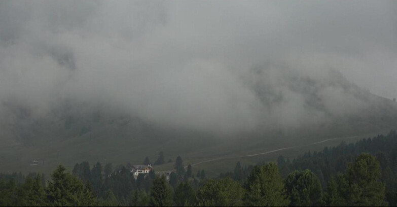 Webcam Bellamonte-Alpe Lusia  - Pista direttissima Le Cune