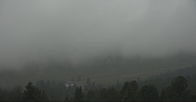 Webcam Bellamonte-Alpe Lusia  - Pista direttissima Le Cune