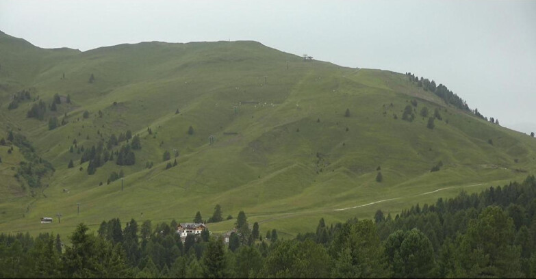 Webcam Bellamonte-Alpe Lusia  - Pista direttissima Le Cune