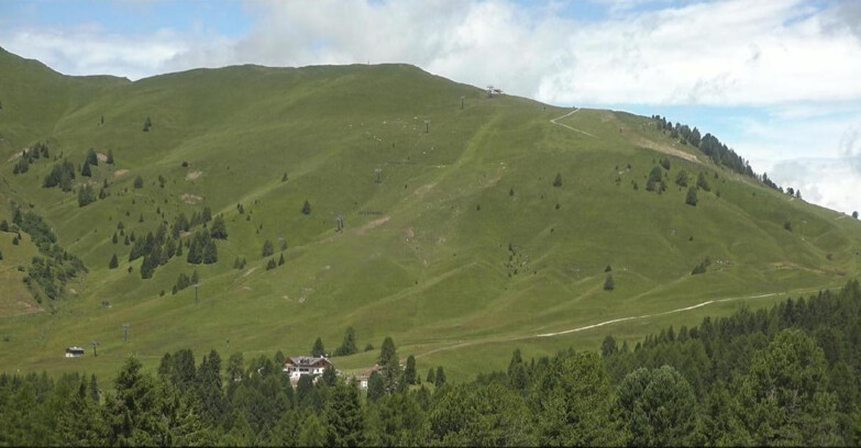 Webcam Bellamonte-Alpe Lusia  - Pista direttissima Le Cune