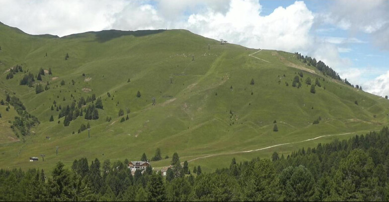 Webcam Bellamonte-Alpe Lusia  - Pista direttissima Le Cune