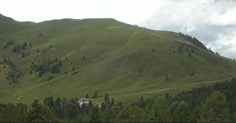 Webcam Bellamonte-Alpe Lusia  - Pista direttissima Le Cune
