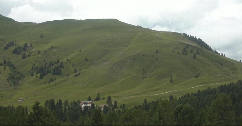 Webcam Bellamonte-Alpe Lusia  - Pista direttissima Le Cune