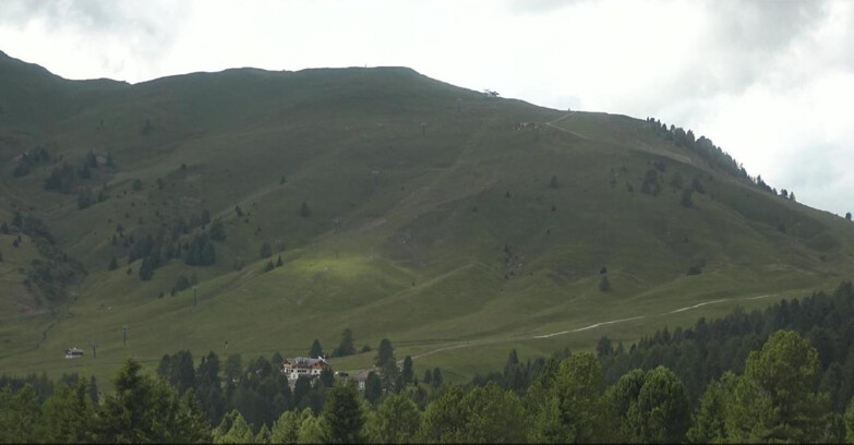 Webcam Bellamonte-Alpe Lusia  - Pista direttissima Le Cune