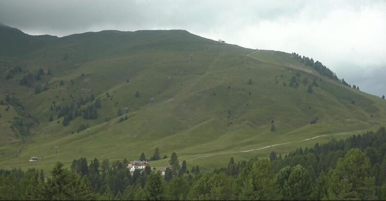 Webcam Bellamonte-Alpe Lusia  - Pista direttissima Le Cune