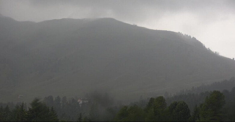 Webcam Bellamonte-Alpe Lusia  - Pista direttissima Le Cune