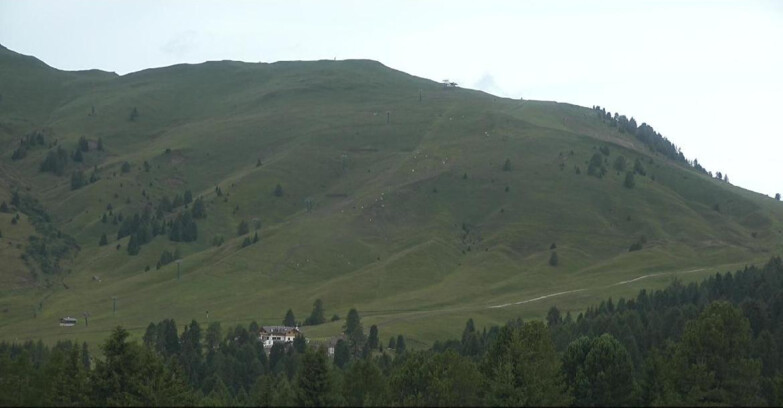 Webcam Bellamonte-Alpe Lusia  - Pista direttissima Le Cune
