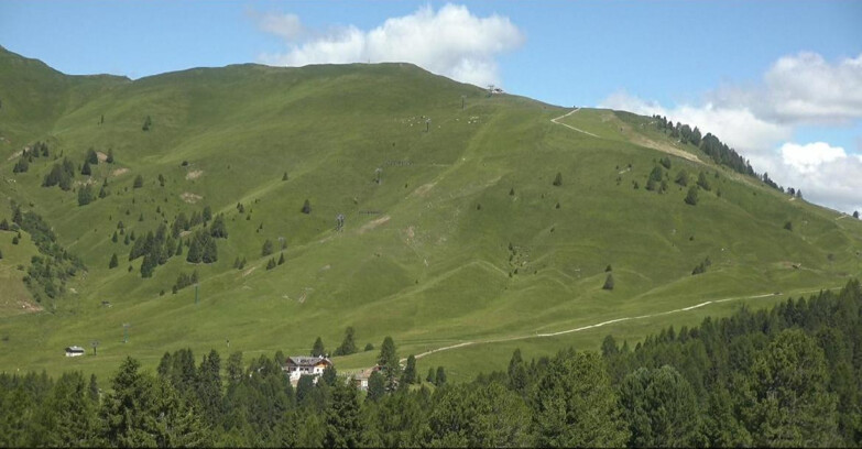 Webcam Белламонте-Альпе-Лусиа  - Pista direttissima Le Cune