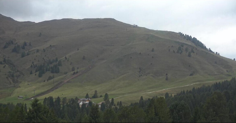 Webcam Белламонте-Альпе-Лусиа  - Pista direttissima Le Cune