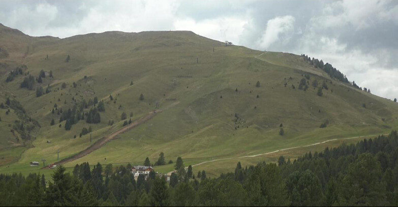 Webcam Bellamonte-Alpe Lusia - Pista direttissima Le Cune
