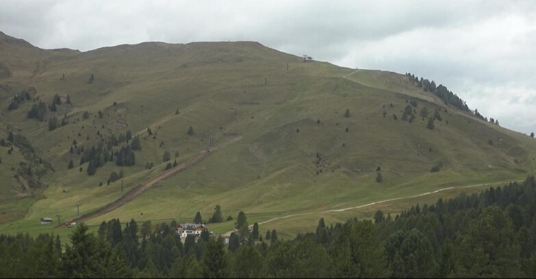 Webcam Bellamonte-Alpe Lusia - Pista direttissima Le Cune