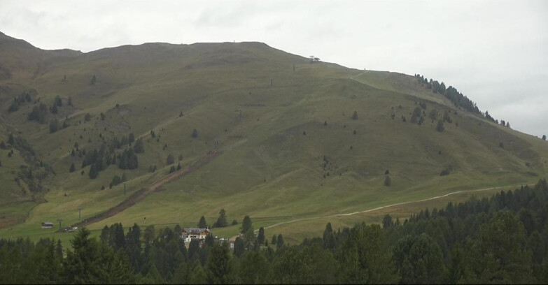 Webcam Белламонте-Альпе-Лусиа  - Pista direttissima Le Cune