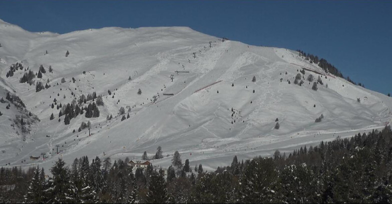 Webcam Bellamonte-Alpe Lusia  - Pista direttissima Le Cune