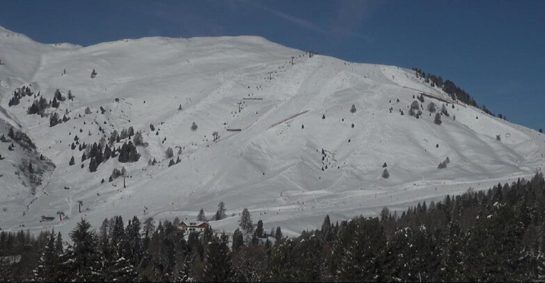 Webcam Bellamonte-Alpe Lusia  - Pista direttissima Le Cune