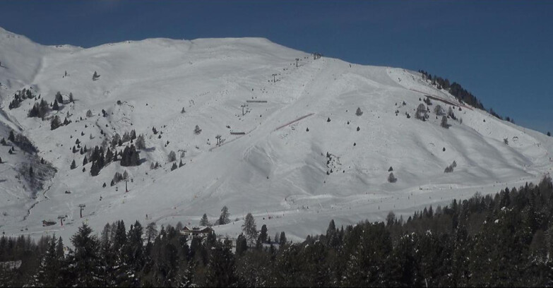 Webcam Bellamonte-Alpe Lusia  - Pista direttissima Le Cune