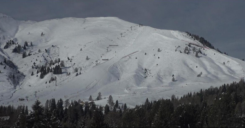 Webcam Bellamonte-Alpe Lusia  - Pista direttissima Le Cune