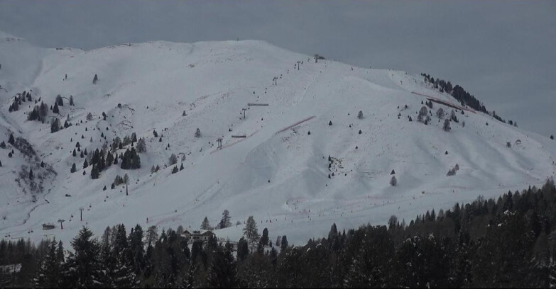 Webcam Bellamonte-Alpe Lusia  - Pista direttissima Le Cune