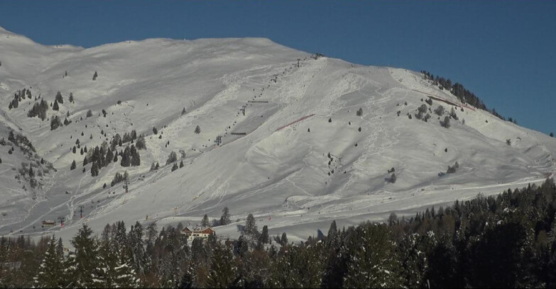 Webcam Bellamonte-Alpe Lusia  - Pista direttissima Le Cune