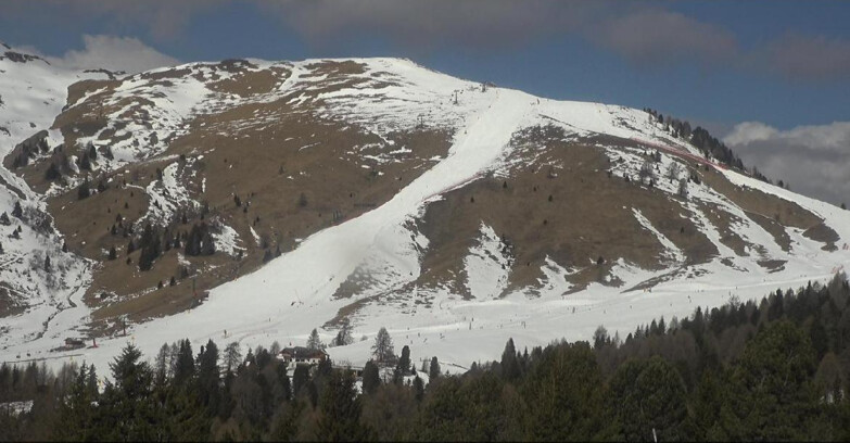 Webcam Bellamonte-Alpe Lusia - Pista direttissima Le Cune
