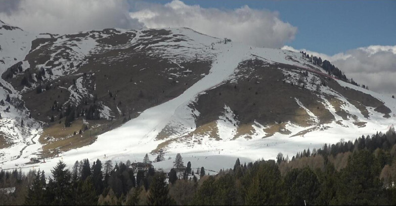 Webcam Bellamonte-Alpe Lusia - Pista direttissima Le Cune