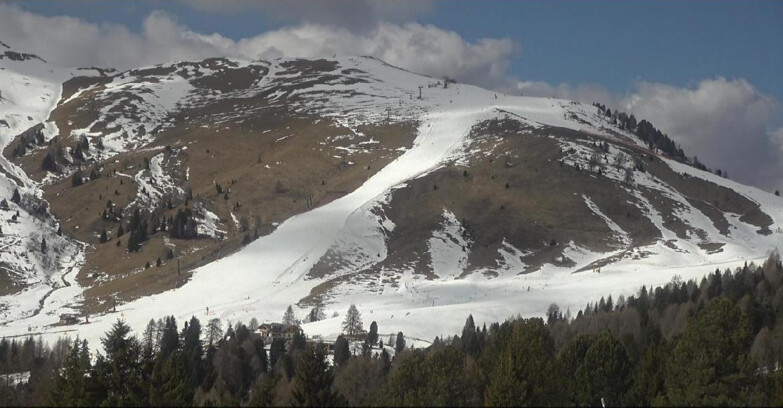 Webcam Bellamonte-Alpe Lusia - Pista direttissima Le Cune