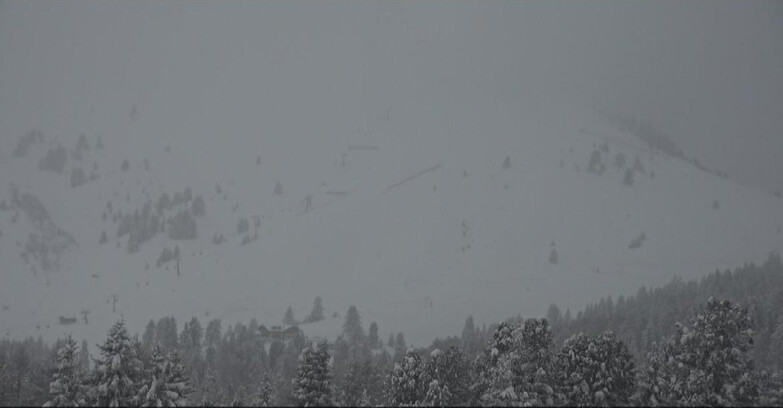 Webcam Белламонте-Альпе-Лусиа  - Pista direttissima Le Cune