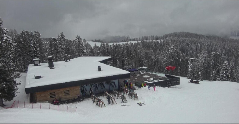 Webcam Bellamonte-Alpe Lusia  - Pista direttissima Le Cune