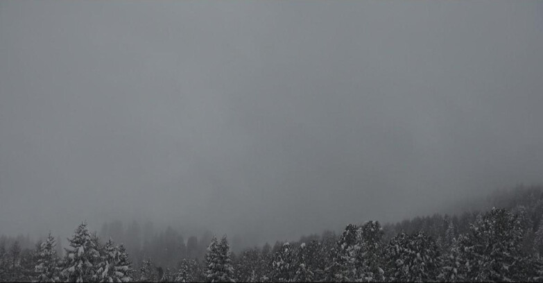 Webcam Bellamonte-Alpe Lusia  - Pista direttissima Le Cune