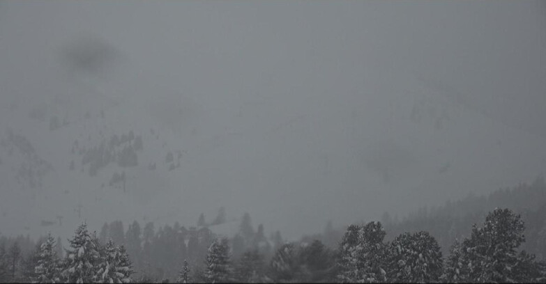 Webcam Bellamonte-Alpe Lusia  - Pista direttissima Le Cune