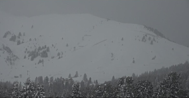 Webcam Bellamonte-Alpe Lusia  - Pista direttissima Le Cune