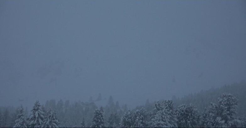 Webcam Белламонте-Альпе-Лусиа  - Pista direttissima Le Cune