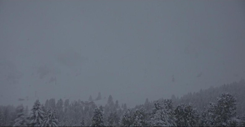 Webcam Белламонте-Альпе-Лусиа  - Pista direttissima Le Cune