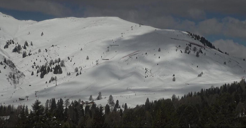 Webcam Bellamonte-Alpe Lusia - Pista direttissima Le Cune