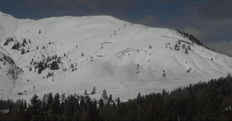 Webcam Bellamonte-Alpe Lusia - Pista direttissima Le Cune