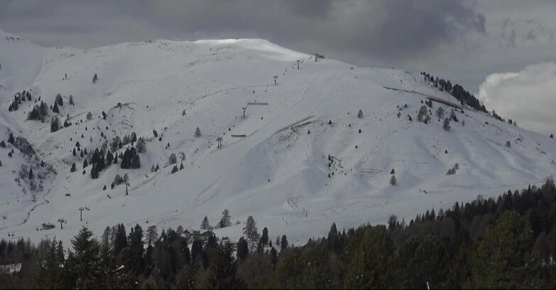 Webcam Bellamonte-Alpe Lusia - Pista direttissima Le Cune