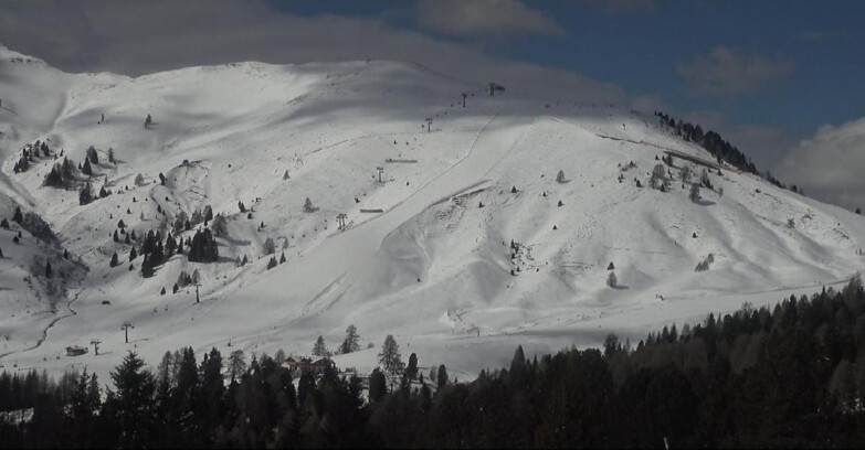 Webcam Bellamonte-Alpe Lusia - Pista direttissima Le Cune