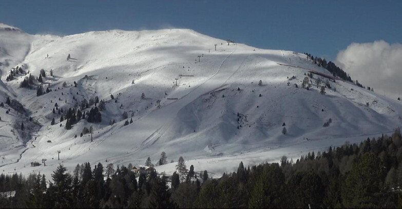Webcam Bellamonte-Alpe Lusia - Pista direttissima Le Cune