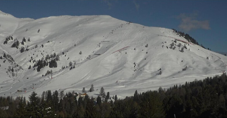 Webcam Bellamonte-Alpe Lusia - Pista direttissima Le Cune