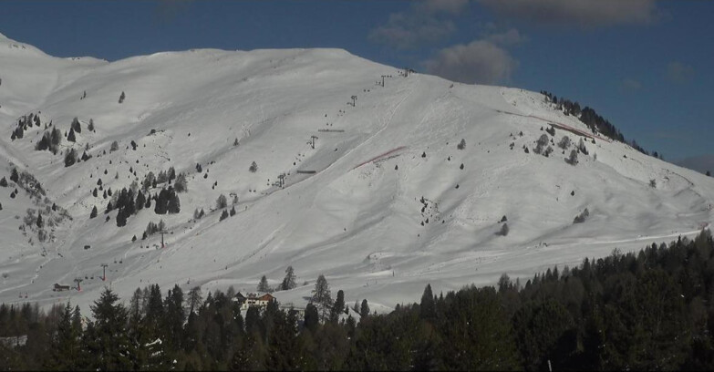 Webcam Bellamonte-Alpe Lusia - Pista direttissima Le Cune