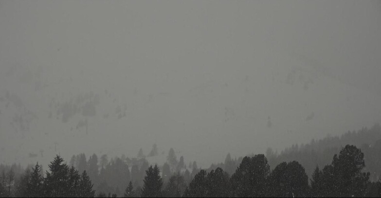 Webcam Bellamonte-Alpe Lusia  - Pista direttissima Le Cune