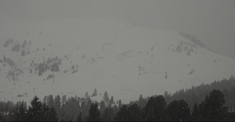 Webcam Bellamonte-Alpe Lusia  - Pista direttissima Le Cune